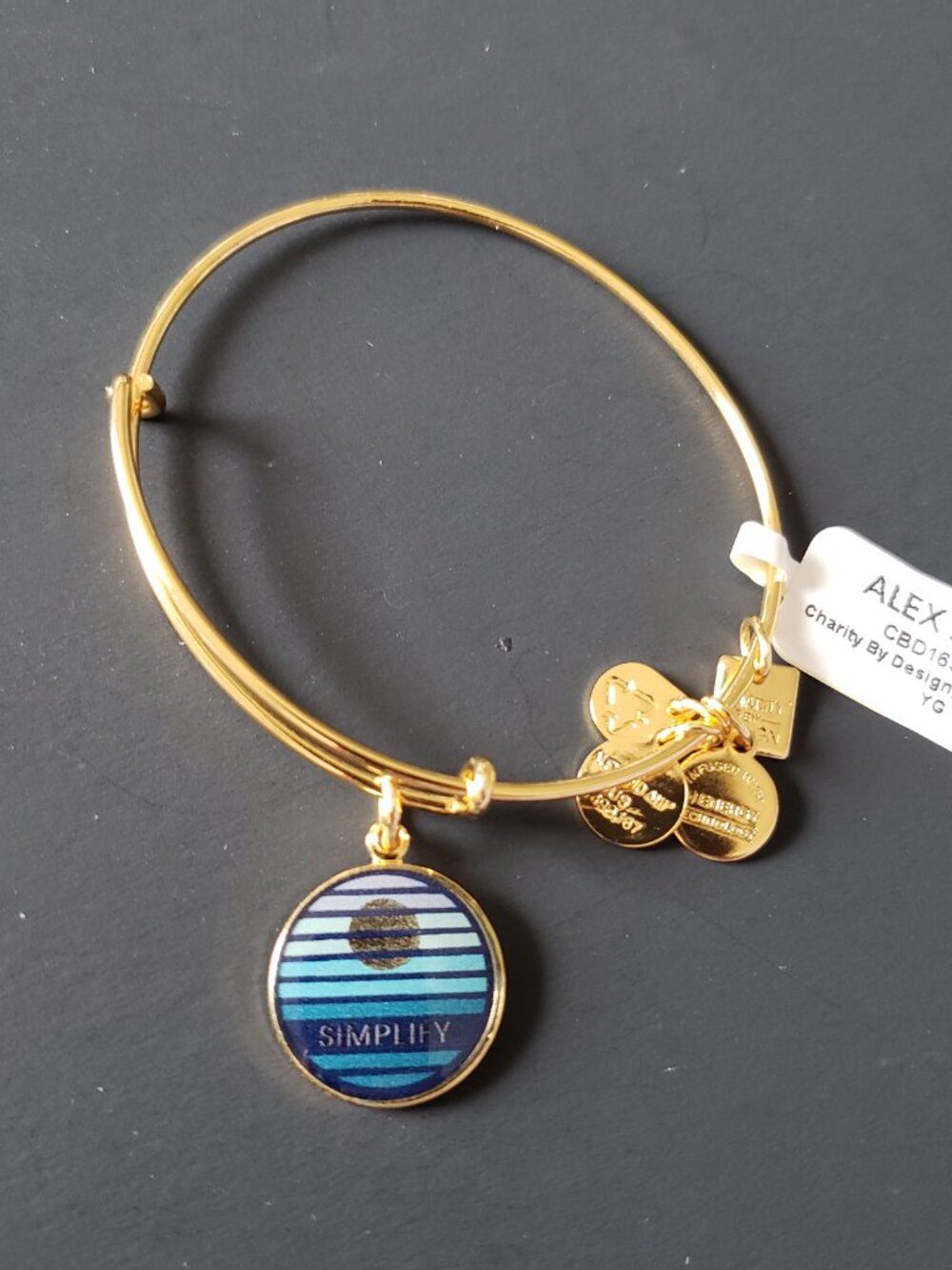 Alex and Ani Simplify Bracelet Bangle 699
